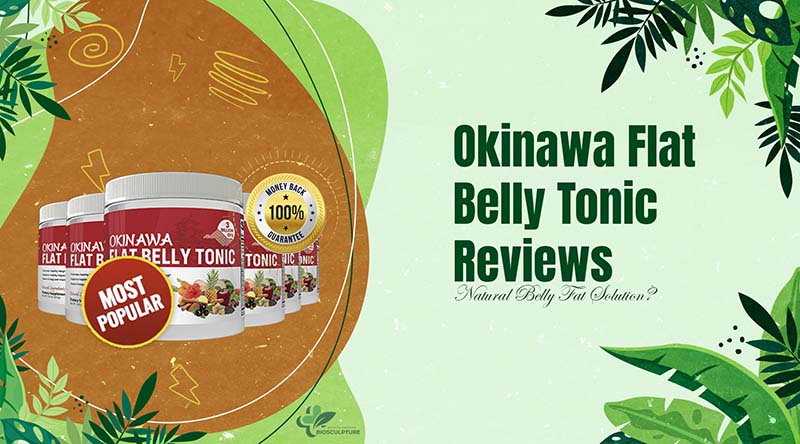 Okinawa Flat Belly Tonic